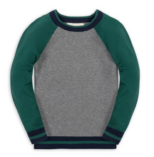 Load image into Gallery viewer, Organic Raglan Sweater
