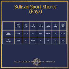 Load image into Gallery viewer, Sullivan Sport Shorts - Bulls Bay Blue
