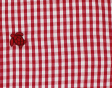 Load image into Gallery viewer, Button down shirt - Red Check
